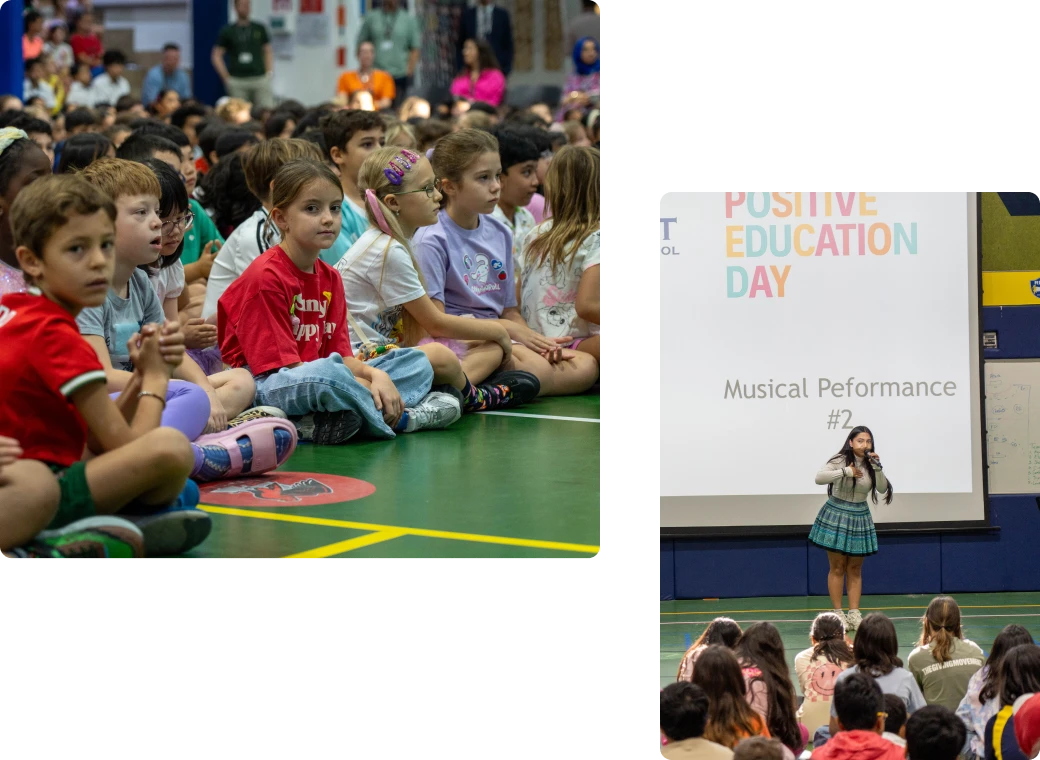 programme pathways img