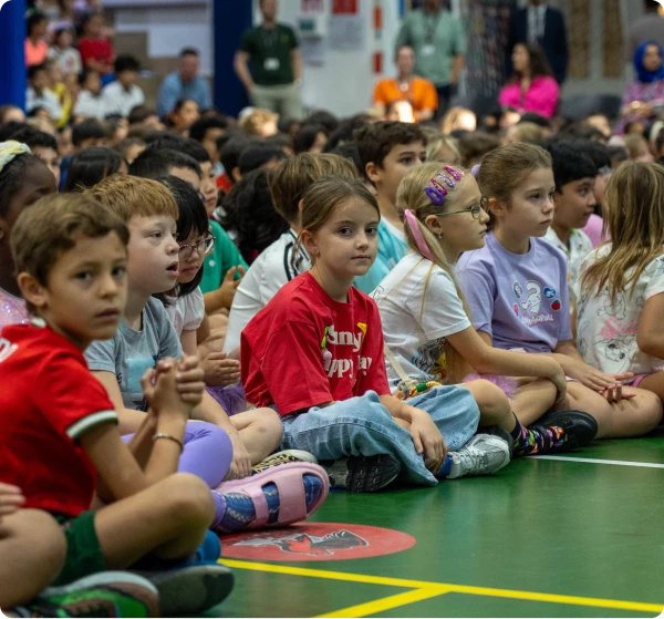 programme pathways responsive img